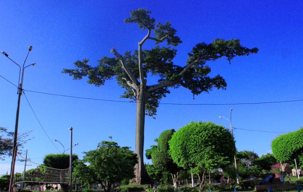 Hotel Sol Del Oriente Pucallpa Bagian luar foto